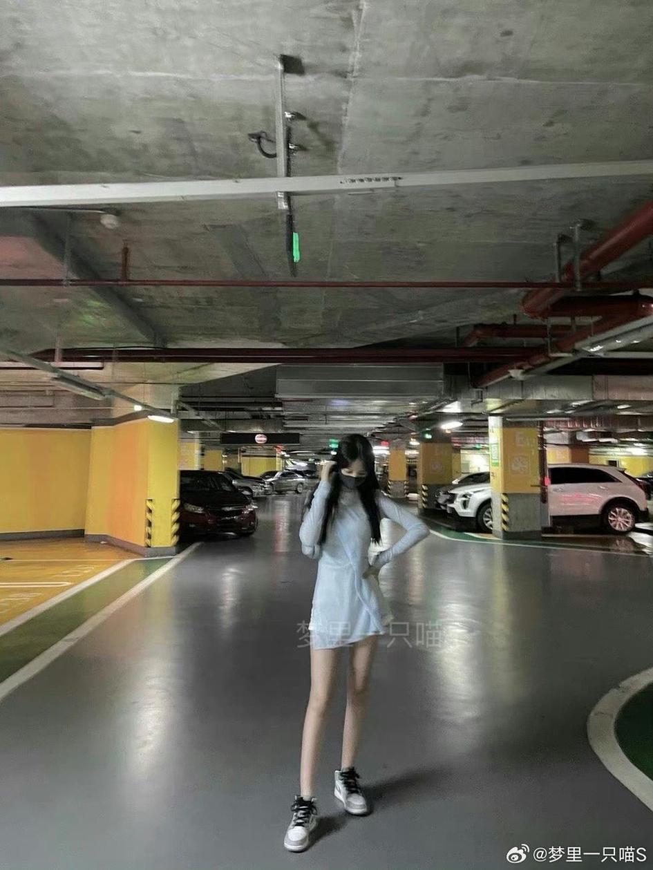 超值图包，梦里一只喵免费观看彰显价值
