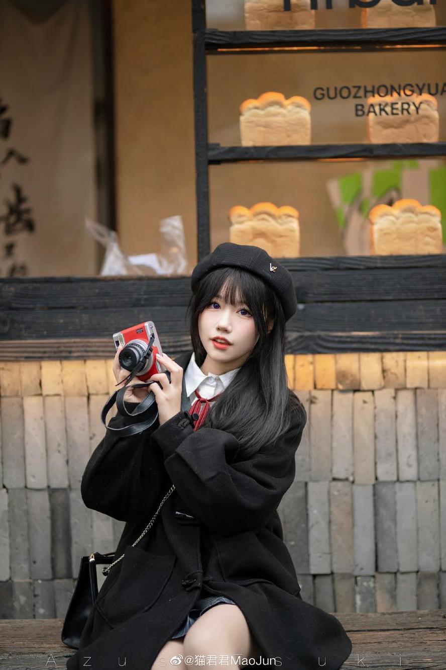 高清猫君君图片：代表宠物界最好看的照片
