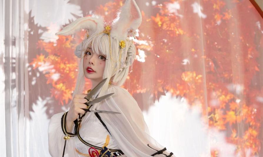 定制阿寨寨ninja合集图片珍品：独一无二