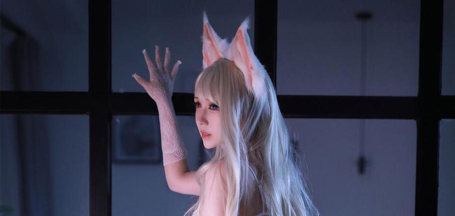 黑白御猫图片夜色中的诱惑，让你无法抗拒